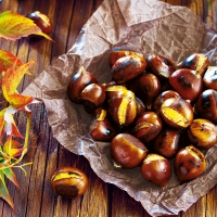 Servietten 33x33 cm - Chestnuts