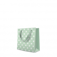 10 Geschenktaschen - Dotsy Check (mint)