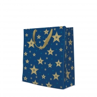 10 Geschenktaschen - Beautiful Stars