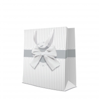 10 Geschenktaschen - Occasional Gift silver