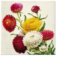 Servietten 33x33 cm - Strawflowers