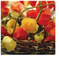 Servietten 33x33 cm - Physalis of Autumn