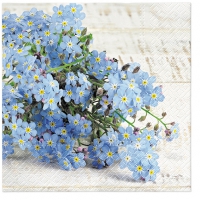 Servietten 33x33 cm - Forget-me-not