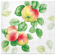 Servietten 33x33 cm - Garden Apple