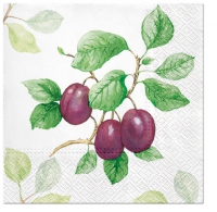Servietten 33x33 cm - Garden Plum