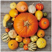 Servietten 33x33 cm - Pumpkin Composition