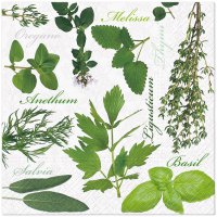 Servietten 33x33 cm - Herbal Taste