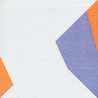 Airlaid Dinner Servietten - Origami Schmetterling lila/grün/orange Airlaid Dinner Servietten - Origami Schmetterling lila/grün/orange