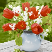 Servietten 24x24 cm - Red tulips Servietten 24x24 cm - Red tulips