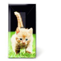 Taschentücher - Forwards