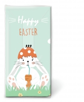 Taschentücher - Carrot smoothie