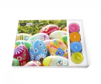 Combibox - Vibrant Eggs Combibox - Vibrant Eggs