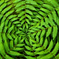 Servietten 33x33 cm - Circle Leaves