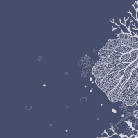 Servietten 24x24 cm - Coral Servietten 24x24 cm - Coral