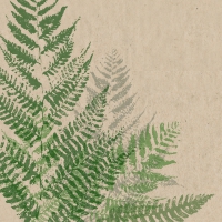 Servietten 24x24 cm - Farn Servietten 24x24 cm - Farn