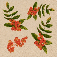 Servietten 24x24 cm - Rowan berry pattern Servietten 24x24 cm - Rowan berry pattern