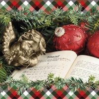 Servietten 33x33 cm - Angel Poem