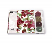 Combibox  - Shiny Poinsettia