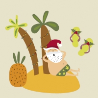 Servietten 33x33 cm - Santa and Sun