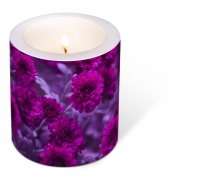 Dekorkerze - Decorated Fuchsia Flowers