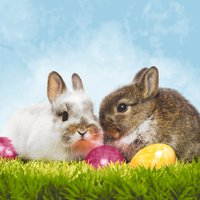 Servietten 33x33 cm - Best friends Servietten 33x33 cm - Best friends