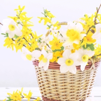 Servietten 33x33 cm - Daffodil basket Servietten 33x33 cm - Daffodil basket