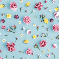 Servietten 33x33 cm - Spring Melody Servietten 33x33 cm - Spring Melody