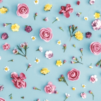 Servietten 24x24 cm - Spring Melody Servietten 24x24 cm - Spring Melody