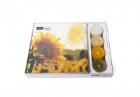 Combibox - Dusk Sunflower Combibox - Dusk Sunflower