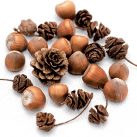Servietten 33x33 cm - Cones and nuts