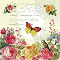 Servietten 33x33 cm - Portrait of butterfly