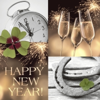 Servietten 24x24 cm - The final countdown