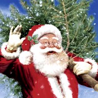 Servietten 33x33 cm - Here comes the tree