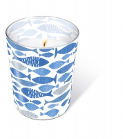 Glaskerze - Glaskerze Shoal of fish