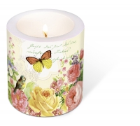 Dekorkerze - Candle Portrait of butterfly