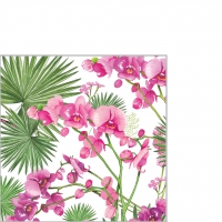 Servietten 25x25 cm - Orchids & Palms Servietten 25x25 cm - Orchids & Palms