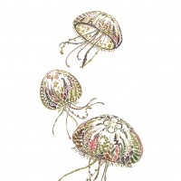 Servietten 25x25 cm - Green Medusa Servietten 25x25 cm - Green Medusa