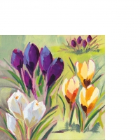 Servietten 25x25 cm - Crocus Musée