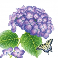 Servietten 25x25 cm - Hydrangea & Butterfly Servietten 25x25 cm - Hydrangea & Butterfly