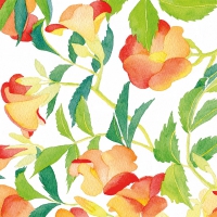 Servietten 25x25 cm - Bégonia Servietten 25x25 cm - Bégonia