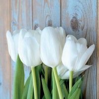Servietten 33x33 cm - White Tulips on Wood