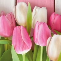 Servietten 33x33 cm - White & Pink Tulips