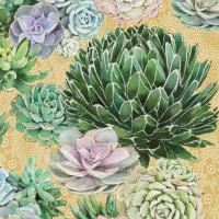 Servietten 33x33 cm - Succulents