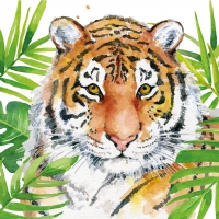 Servietten 33x33 cm - Tropical Tiger Servietten 33x33 cm - Tropical Tiger