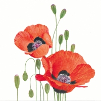 Servietten 33x33 cm - Poppies Servietten 33x33 cm - Poppies