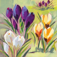 Servietten 33x33 cm - Crocus Musée