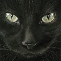 Servietten 33x33 cm - Black Cat