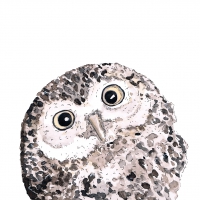 Servietten 33x33 cm - Owl