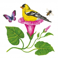 Servietten 33x33 cm - Morning Glory Nest Servietten 33x33 cm - Morning Glory Nest