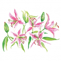 Servietten 33x33 cm - Stargazer Lilies